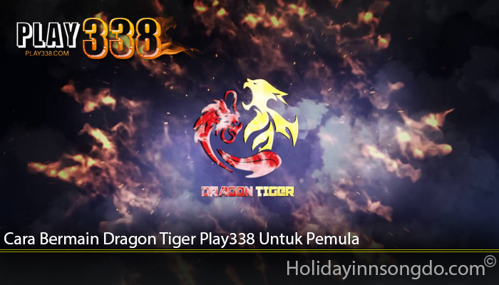 Cara Bermain Dragon Tiger Play338 Untuk Pemula
